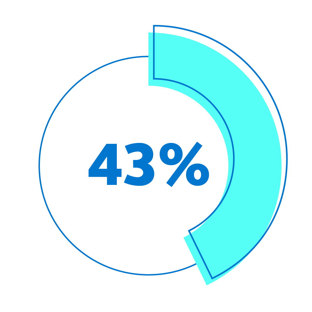Graphic icon showing 43% of a participant's long-term investment performance with a pie chart.