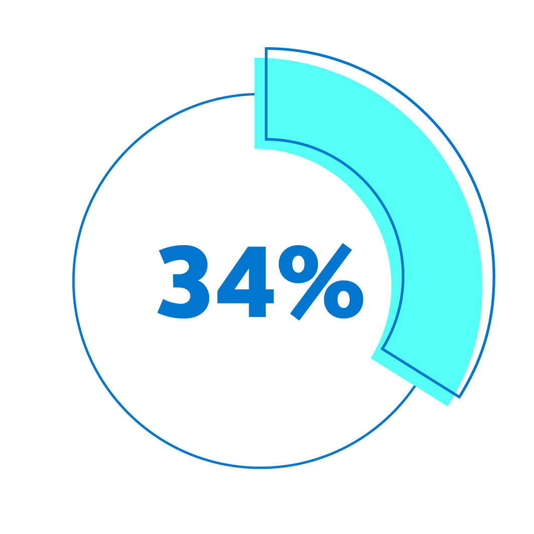 Graphic icon showing 34%  with a pie chart when talking about matching a participant's risk tolerance.